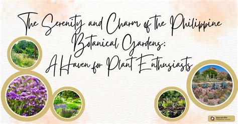 botanical gardens philippines|The Serenity and Charm of the Philippine Botanical Gardens: A .